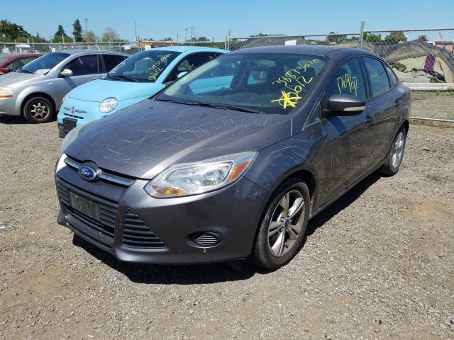 Photo 1 VIN: 1FADP3F24DL314607 - FORD FOCUS SE 