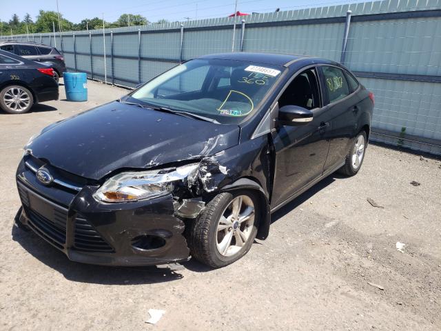 Photo 1 VIN: 1FADP3F24DL315188 - FORD FOCUS SE 