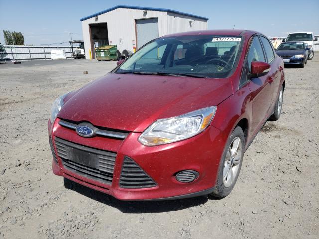 Photo 1 VIN: 1FADP3F24DL351527 - FORD FOCUS SE 