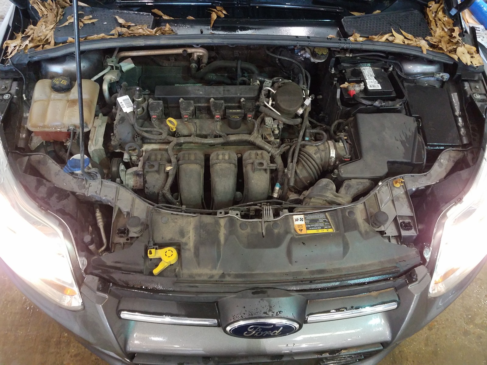 Photo 6 VIN: 1FADP3F24EL265748 - FORD FOCUS SE 