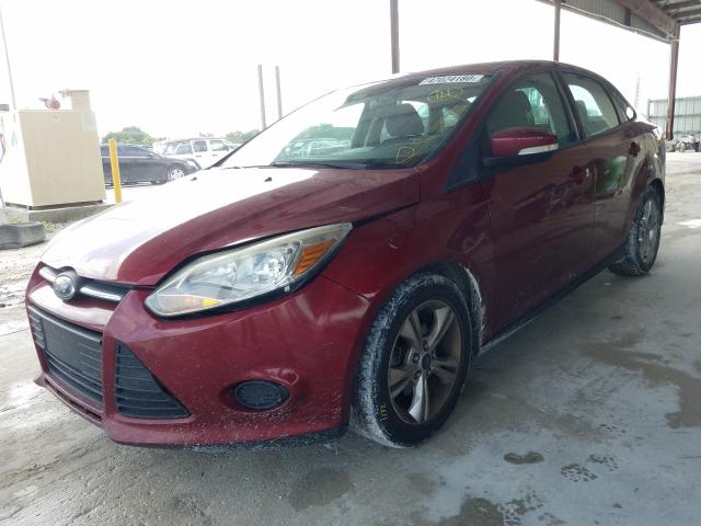 Photo 1 VIN: 1FADP3F24EL368670 - FORD FOCUS 