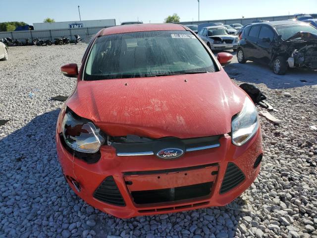 Photo 4 VIN: 1FADP3F24EL370659 - FORD FOCUS SE 