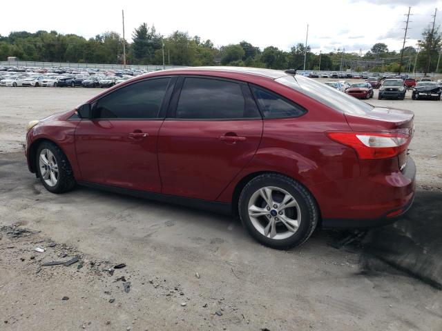 Photo 1 VIN: 1FADP3F24EL438894 - FORD FOCUS SE 