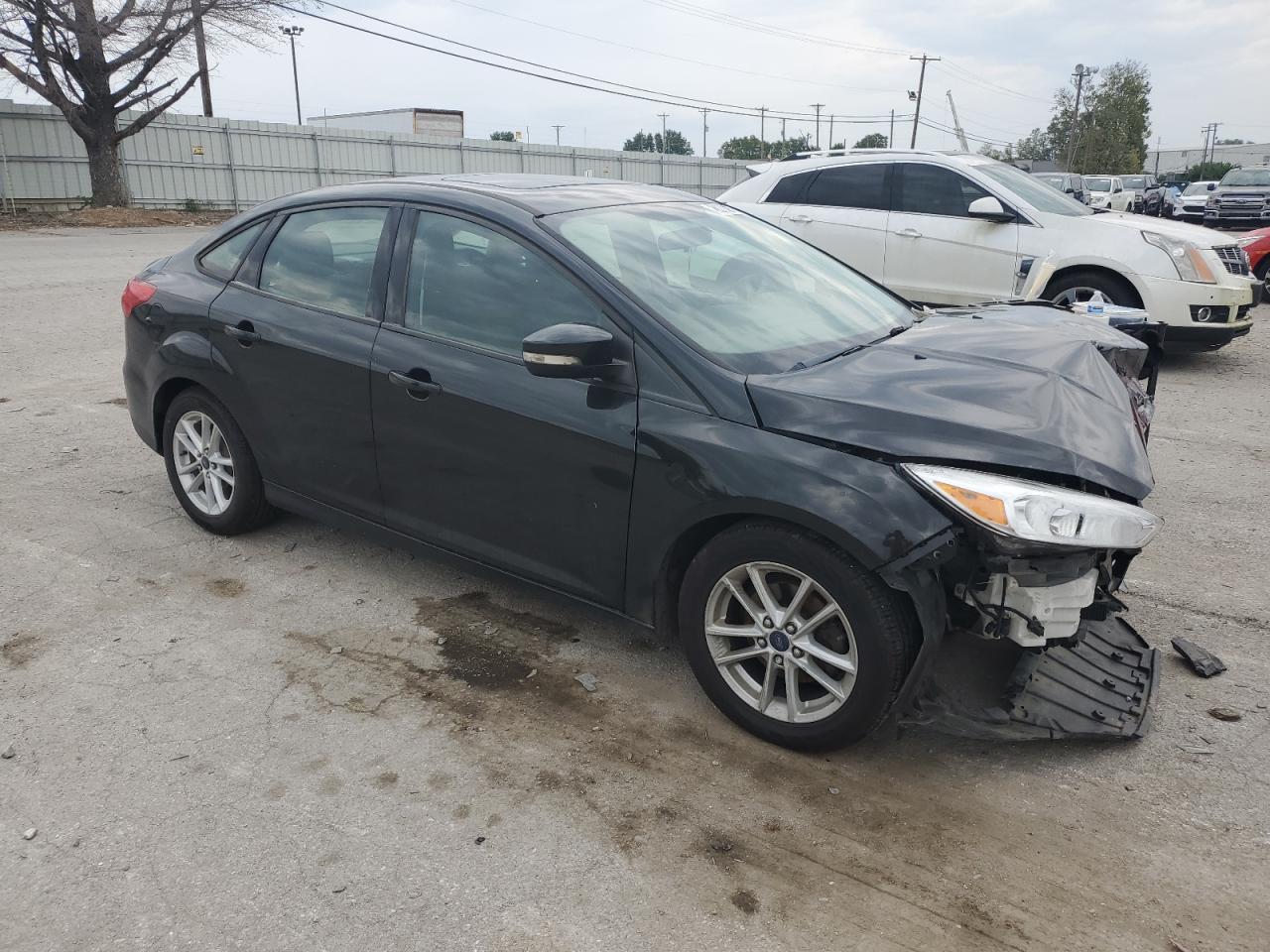 Photo 3 VIN: 1FADP3F24FL206135 - FORD FOCUS 