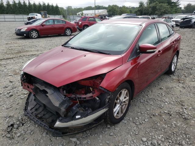 Photo 1 VIN: 1FADP3F24FL227020 - FORD FOCUS 