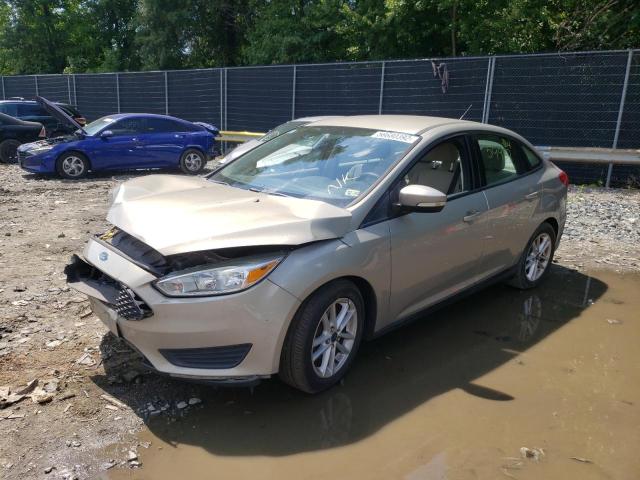 Photo 1 VIN: 1FADP3F24FL228491 - FORD FOCUS SE 