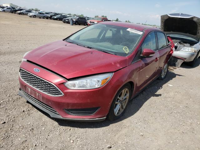 Photo 1 VIN: 1FADP3F24FL231469 - FORD FOCUS SE 