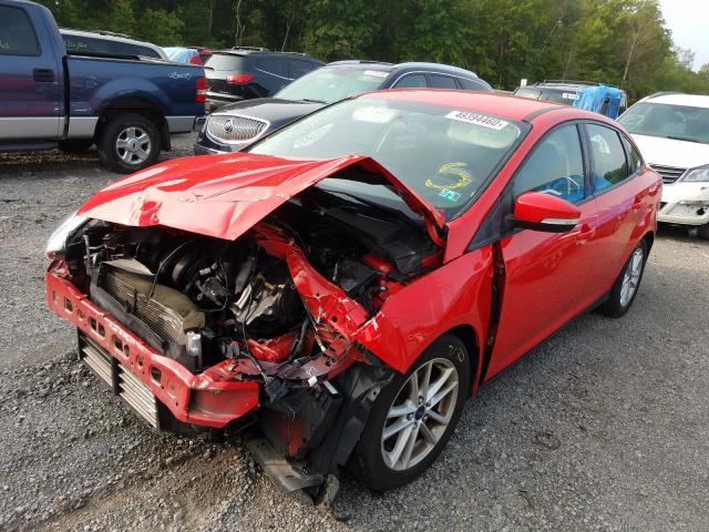 Photo 1 VIN: 1FADP3F24FL239541 - FORD FOCUS SE 