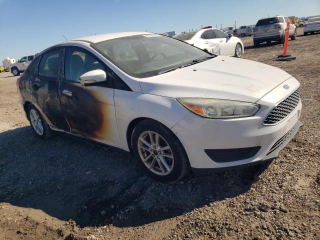 Photo 3 VIN: 1FADP3F24FL242634 - FORD FOCUS SE 