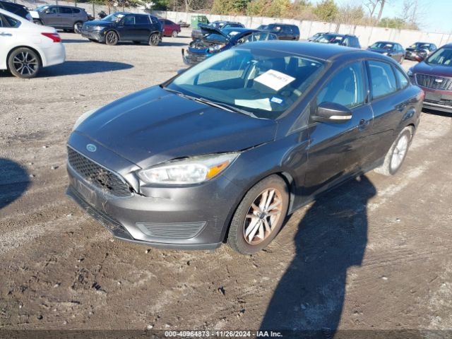 Photo 1 VIN: 1FADP3F24FL243816 - FORD FOCUS 