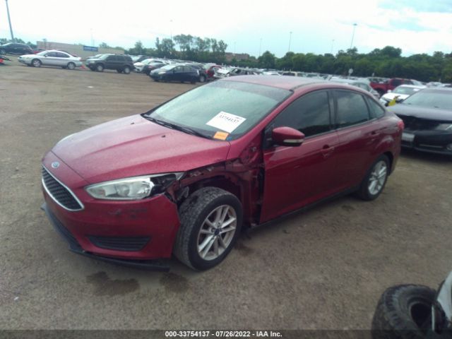 Photo 1 VIN: 1FADP3F24FL262835 - FORD FOCUS 