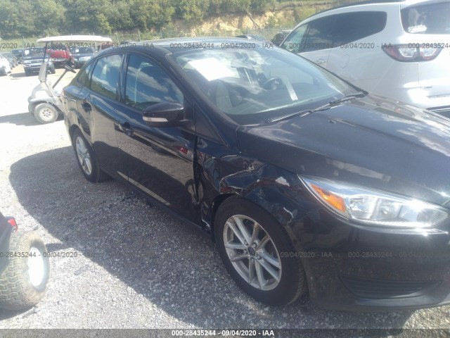 Photo 5 VIN: 1FADP3F24FL292630 - FORD FOCUS 