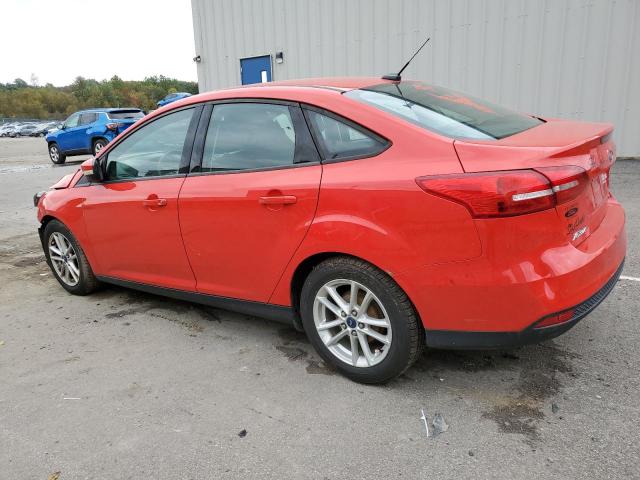 Photo 1 VIN: 1FADP3F24FL343155 - FORD FOCUS 