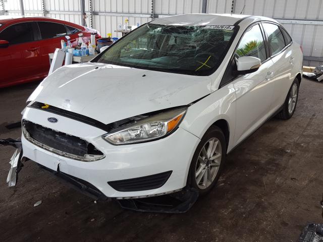 Photo 1 VIN: 1FADP3F24FL343396 - FORD FOCUS SE 