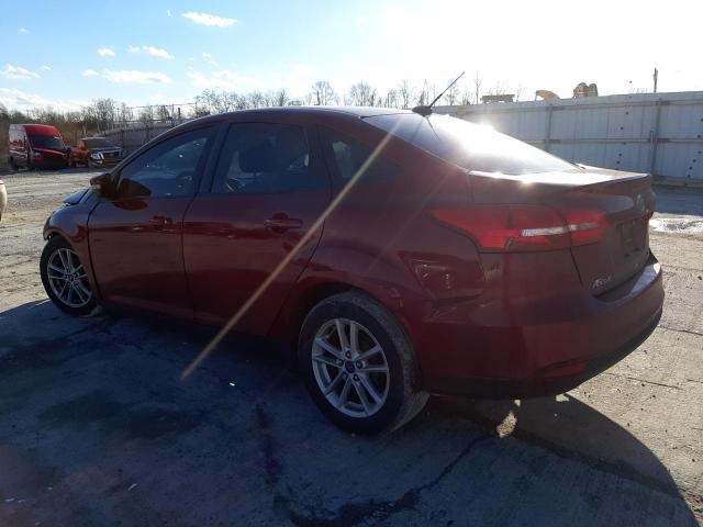 Photo 1 VIN: 1FADP3F24FL366242 - FORD FOCUS SE 