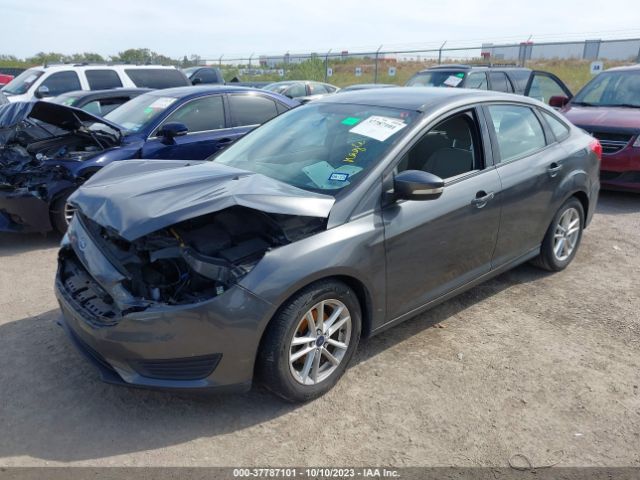 Photo 1 VIN: 1FADP3F24FL374387 - FORD FOCUS 