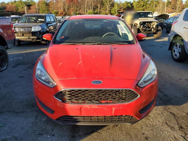 Photo 4 VIN: 1FADP3F24GL248029 - FORD FOCUS SE 