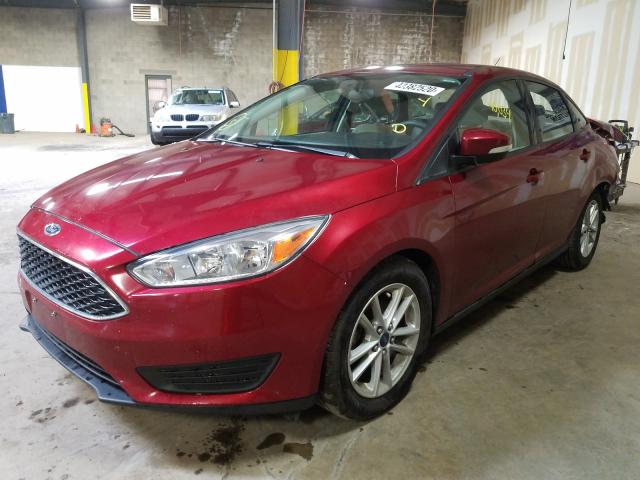 Photo 1 VIN: 1FADP3F24GL250279 - FORD FOCUS SE 