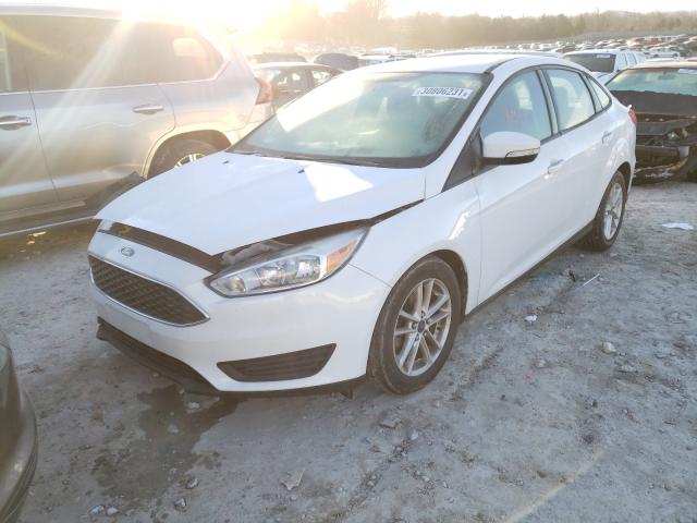 Photo 1 VIN: 1FADP3F24GL257586 - FORD FOCUS SE 