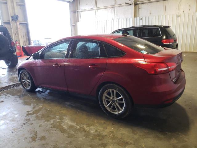 Photo 1 VIN: 1FADP3F24GL261265 - FORD FOCUS SE 