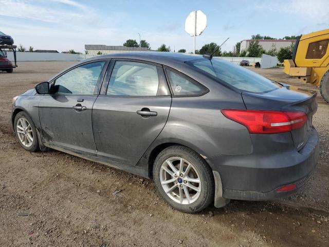 Photo 1 VIN: 1FADP3F24GL262884 - FORD FOCUS SE 