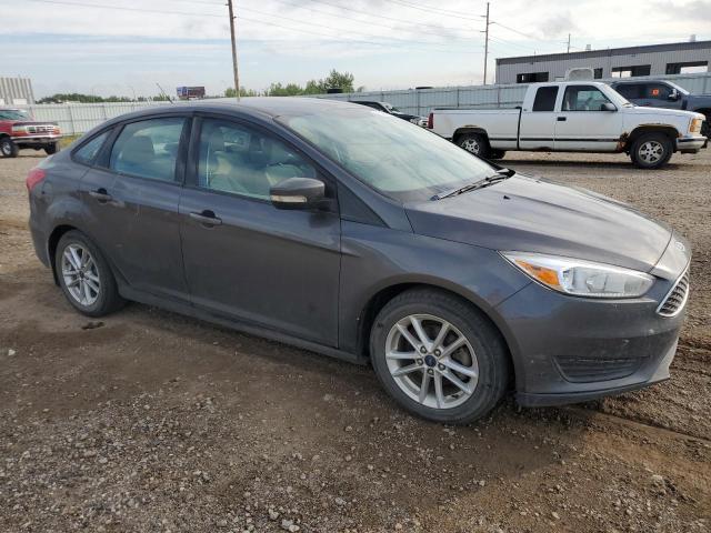 Photo 3 VIN: 1FADP3F24GL262884 - FORD FOCUS SE 