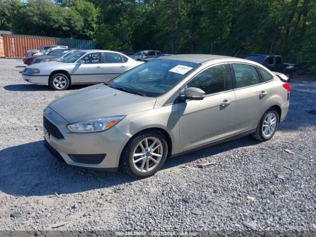 Photo 1 VIN: 1FADP3F24GL266689 - FORD FOCUS 