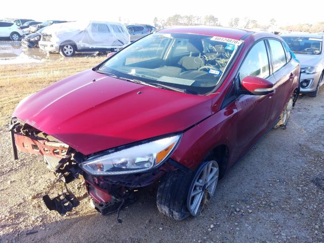 Photo 1 VIN: 1FADP3F24GL319052 - FORD FOCUS SE 