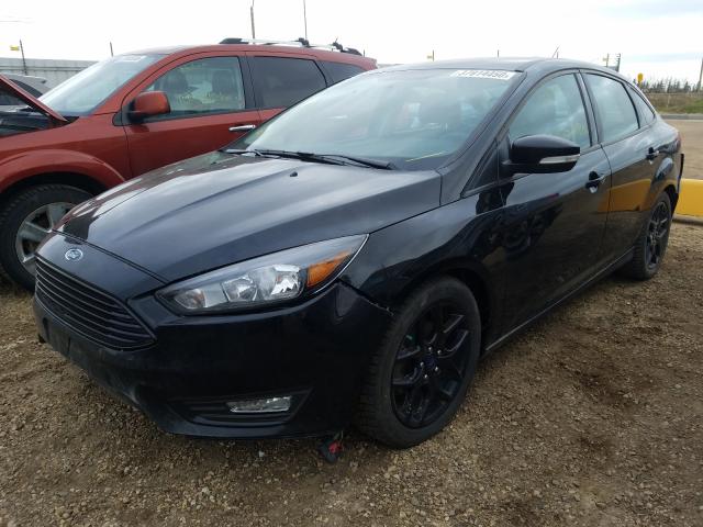 Photo 1 VIN: 1FADP3F24GL334084 - FORD FOCUS SE 