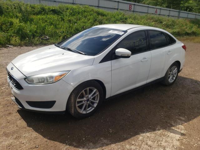 Photo 0 VIN: 1FADP3F24GL336353 - FORD FOCUS SE 