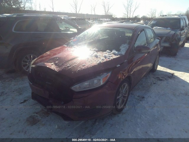 Photo 1 VIN: 1FADP3F24GL343366 - FORD FOCUS 