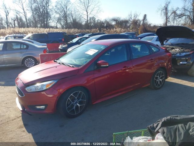 Photo 1 VIN: 1FADP3F24GL402612 - FORD FOCUS 