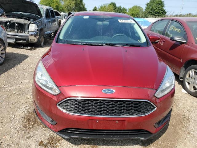 Photo 4 VIN: 1FADP3F24GL405445 - FORD FOCUS SE 