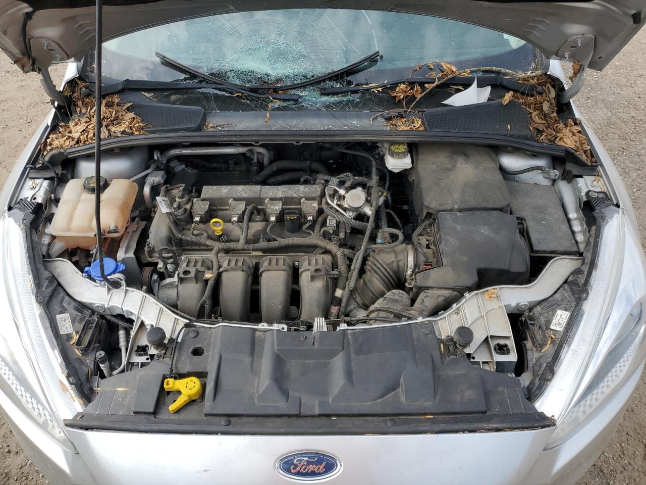 Photo 10 VIN: 1FADP3F24JL279949 - FORD FOCUS 