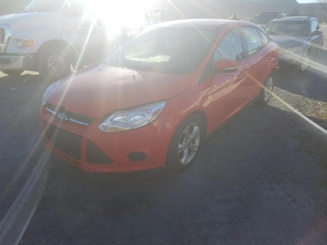 Photo 1 VIN: 1FADP3F25DL166886 - FORD FOCUS SE 