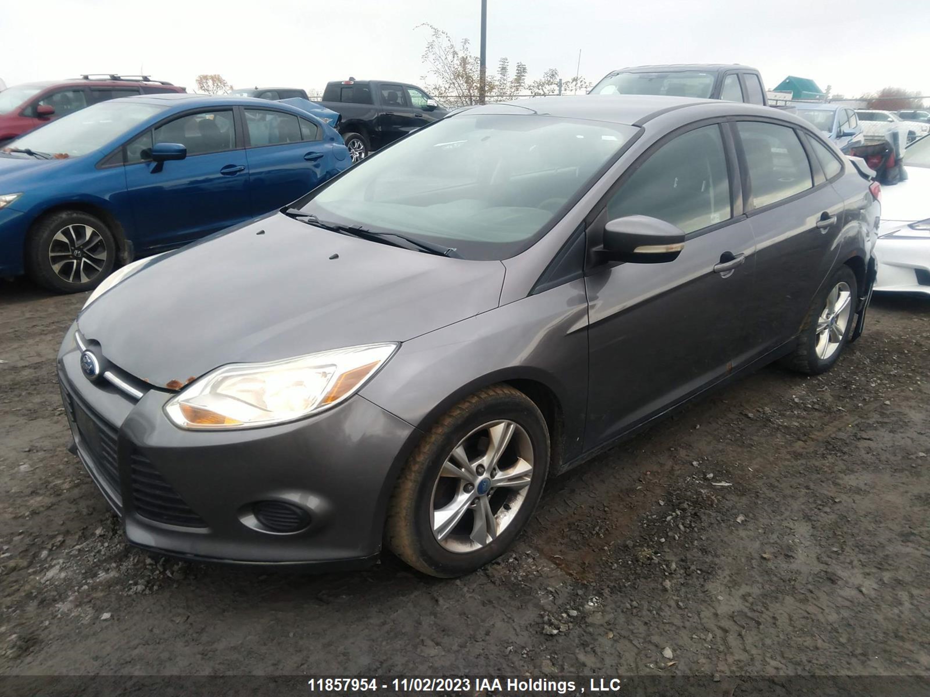 Photo 1 VIN: 1FADP3F25DL256359 - FORD FOCUS 