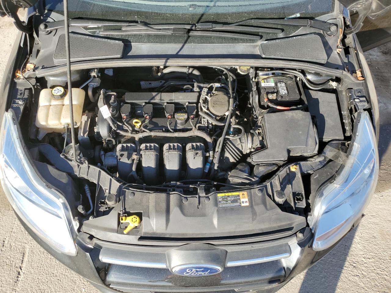 Photo 10 VIN: 1FADP3F25DL265479 - FORD FOCUS 