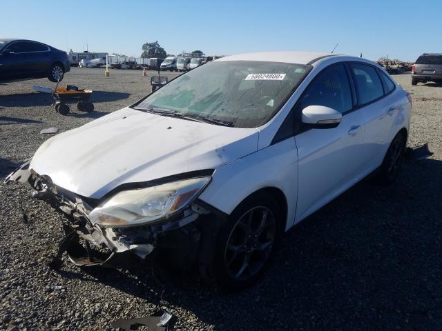 Photo 1 VIN: 1FADP3F25DL335630 - FORD FOCUS SE 