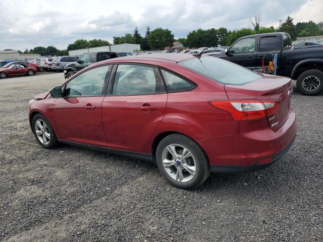 Photo 1 VIN: 1FADP3F25DL369079 - FORD FOCUS 