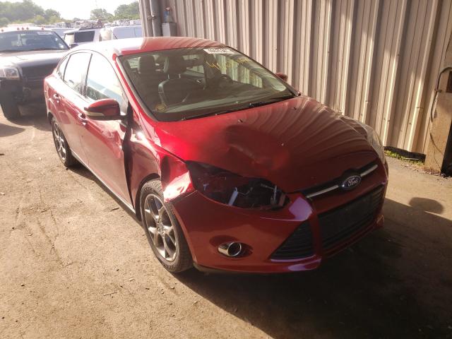 Photo 8 VIN: 1FADP3F25EL270134 - FORD FOCUS SE 