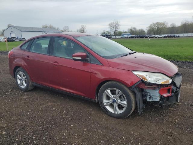 Photo 3 VIN: 1FADP3F25EL323771 - FORD FOCUS SE 