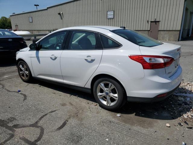 Photo 1 VIN: 1FADP3F25EL377295 - FORD FOCUS 