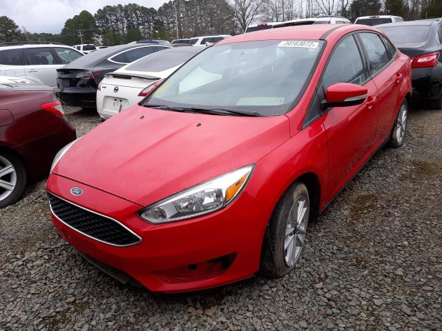 Photo 1 VIN: 1FADP3F25FL289509 - FORD FOCUS SE 