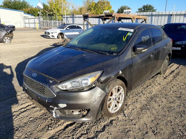 Photo 8 VIN: 1FADP3F25FL295827 - FORD FOCUS SE 