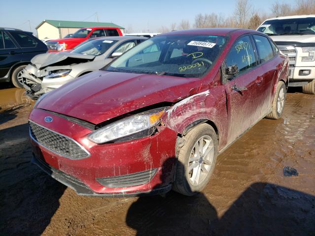 Photo 1 VIN: 1FADP3F25GL220031 - FORD FOCUS 