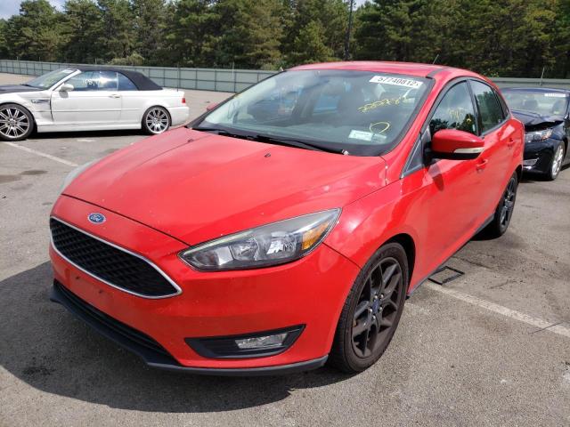 Photo 1 VIN: 1FADP3F25GL222782 - FORD FOCUS SE 