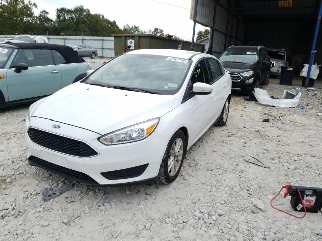 Photo 1 VIN: 1FADP3F25GL239114 - FORD FOCUS SE 