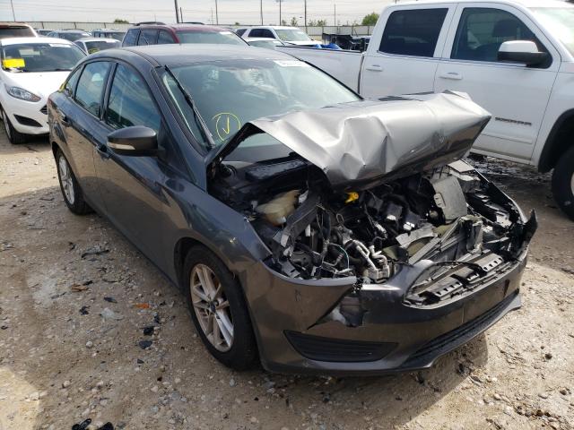 Photo 0 VIN: 1FADP3F25GL245320 - FORD FOCUS SE 