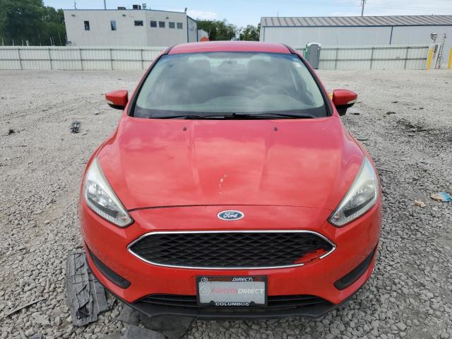 Photo 4 VIN: 1FADP3F25GL252266 - FORD FOCUS 