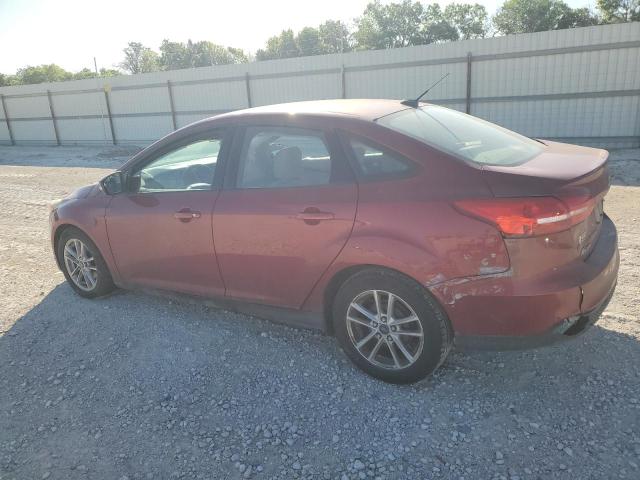 Photo 1 VIN: 1FADP3F25GL253160 - FORD FOCUS 